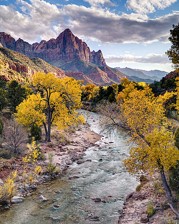 The Watchman