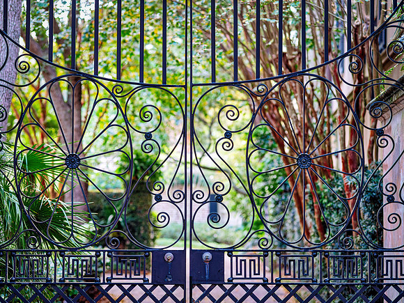 Wrought Iron - Charleston