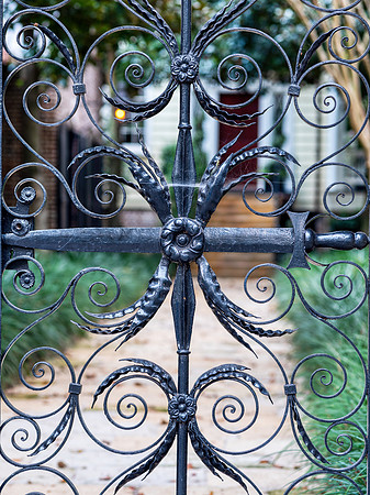 Wrought Iron - Charleston