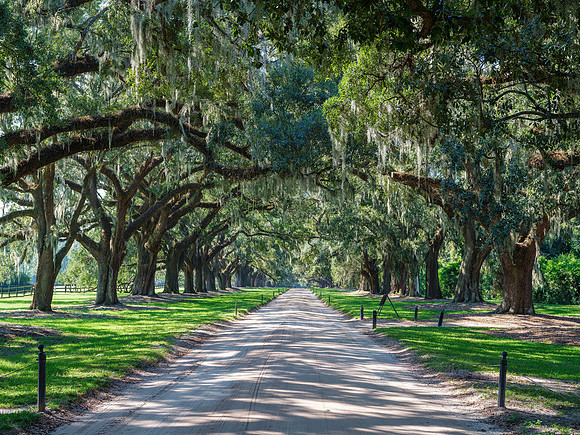 Boone Hall Plantation