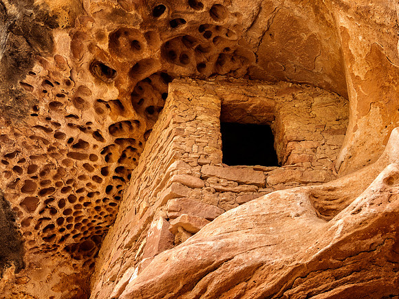 Honeycomb Ceiling