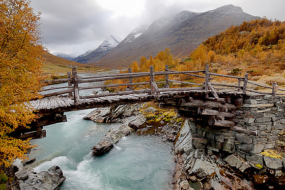 Autumn Bridge