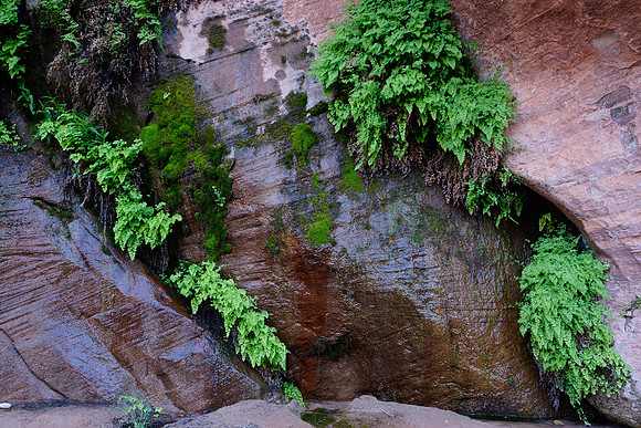 Big Spring
