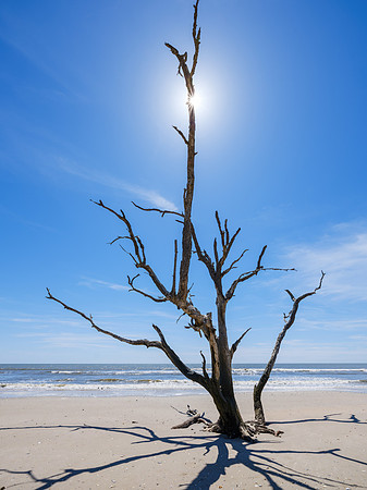 Edisto Beach