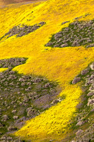 Carrizo Plains Nat'l Monument