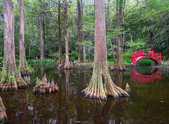 Cypress Gardens
