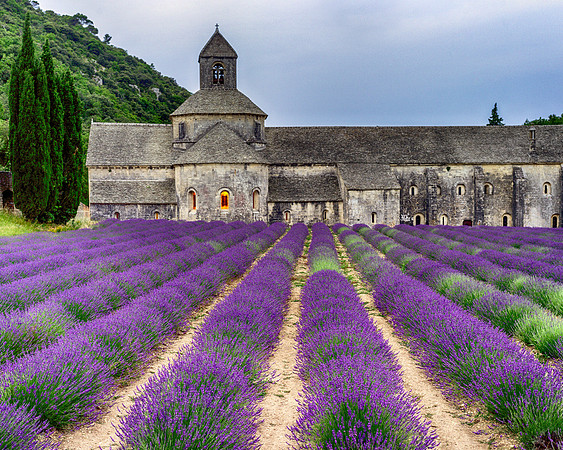 Abbaye de Sénanque