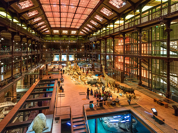Galerie de l'Evolution