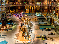 Galerie de l'Evolution