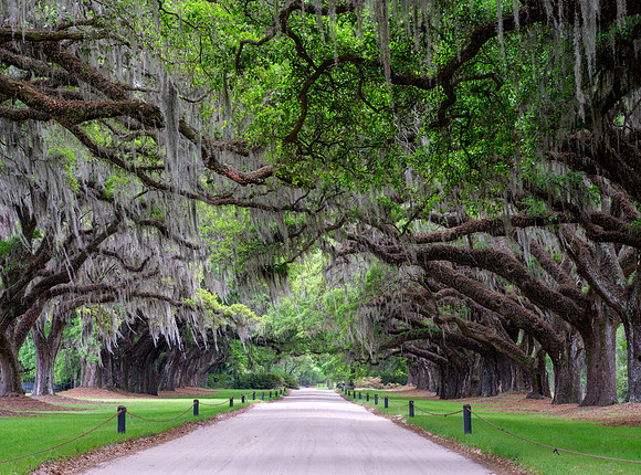 Boone Hall Plantation