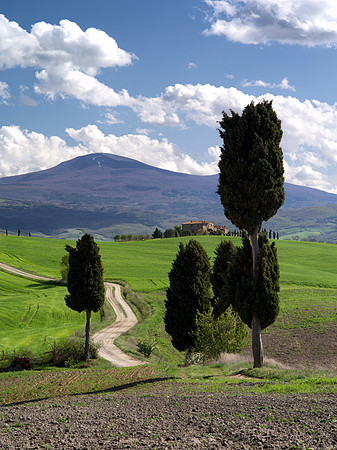 Tuscan Road