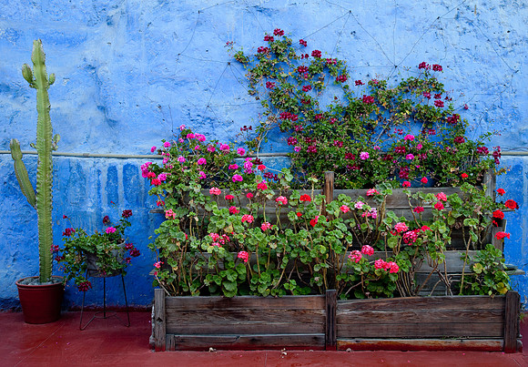 Blue Wall