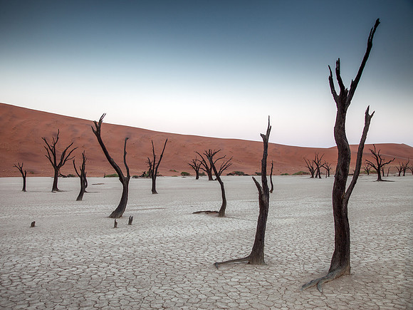 Dead Vlei