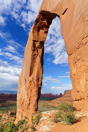 Cove Arch 1