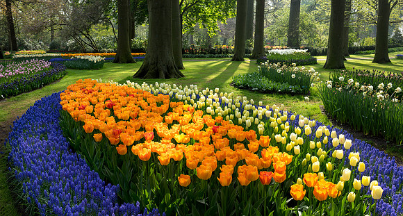 Keukenhof