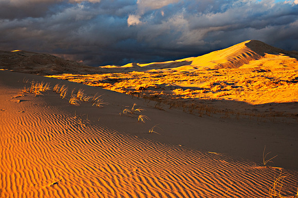 Kelso Dunes