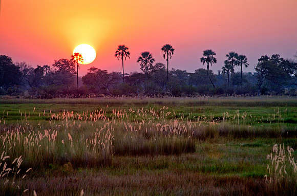 Okavango