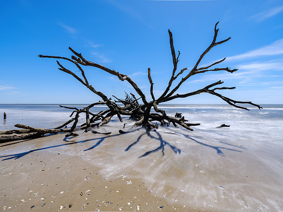 Edisto Beach
