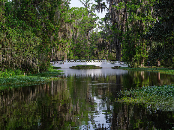 Cypress Gardens