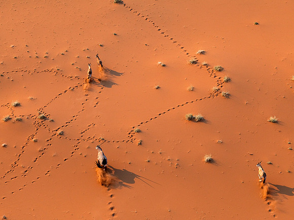 Sossusvlei