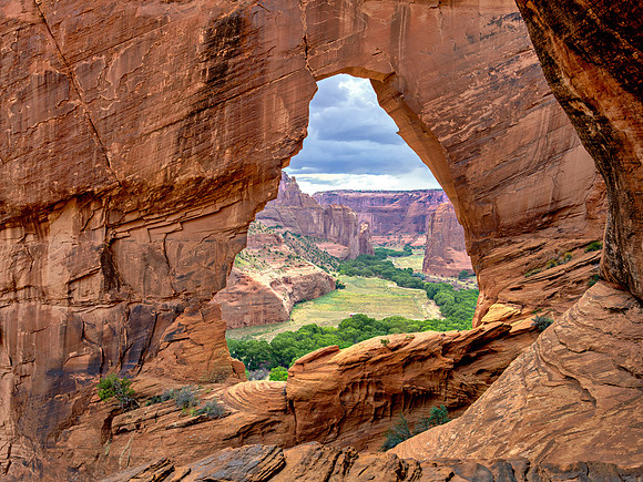The Window