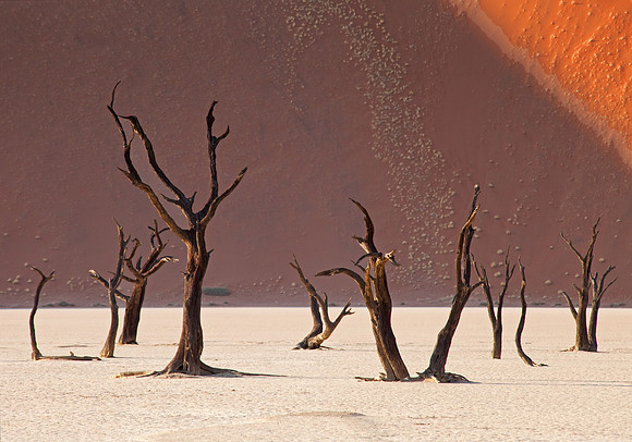 Dead Vlei
