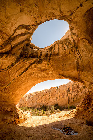 Double Window
