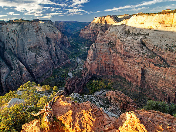Observation Point
