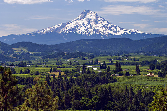 Mt Hood