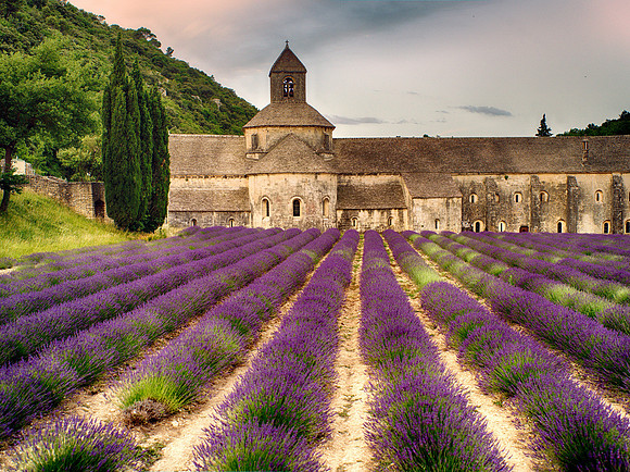 Abbaye de Sénanque