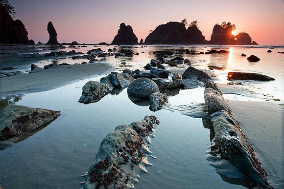 Shi-Shi Beach