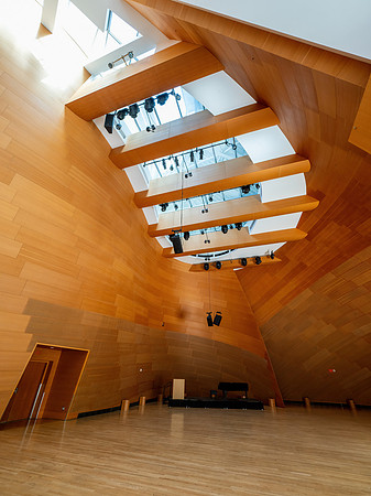 Walt Disney Concert Hall