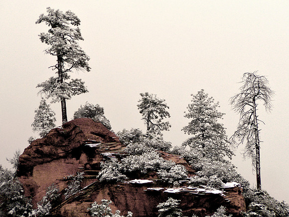 China in Arizona