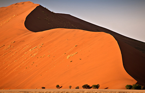 Dune 45