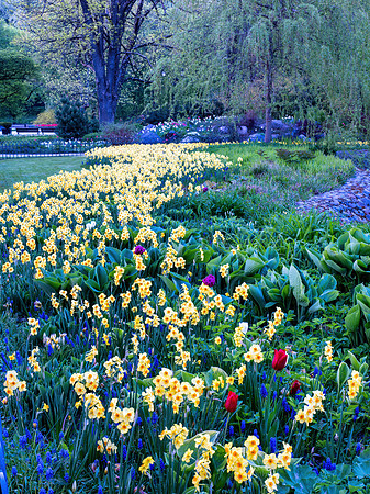 Bernardiny Garden - Vilnius