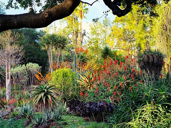 Garden of Eden