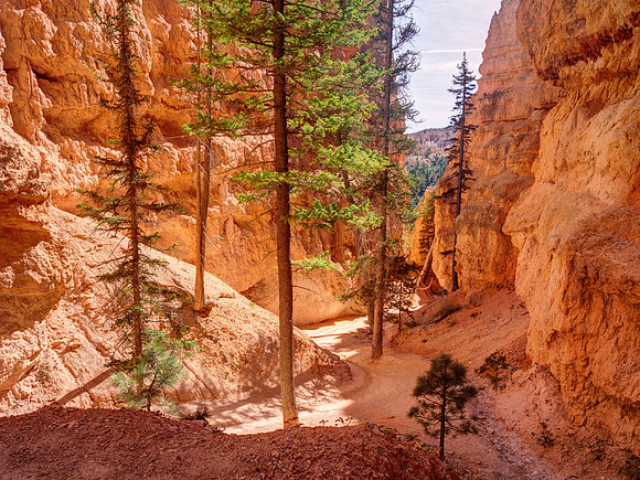 Navajo Trail