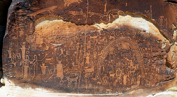 Rochester Panel