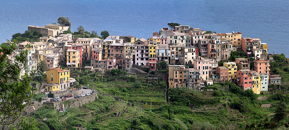 Corniglia close-up