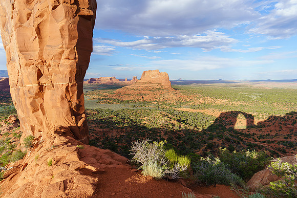 Cove Arch