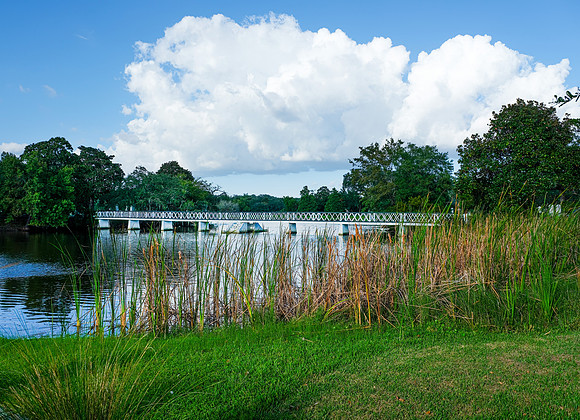 Cypress Gardens