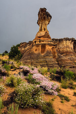 Chicken Rock