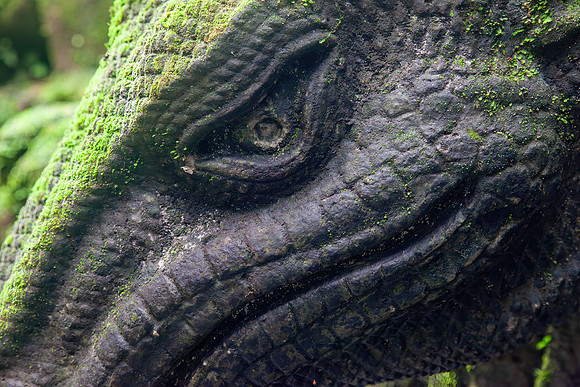 Ubud Monkey Forest