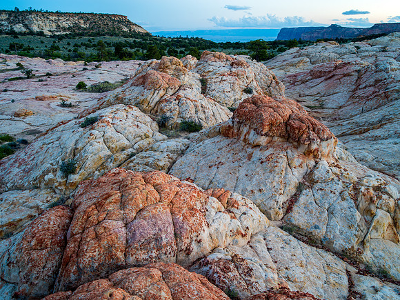 Soap Creek Tanks