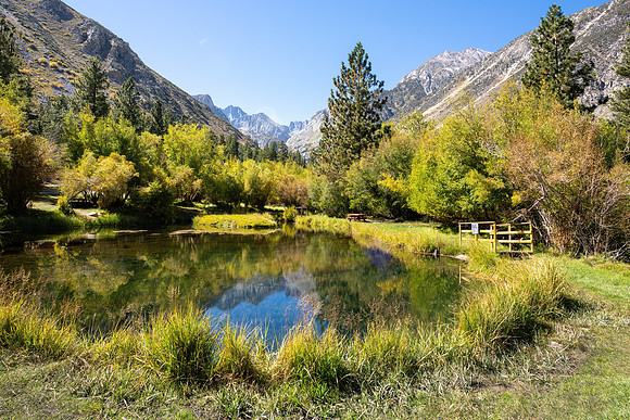 Big Pine - Eastern Sierra