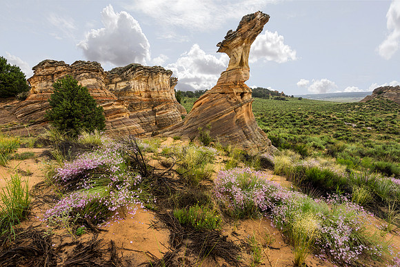 Chicken Rock