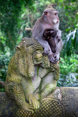Ubud Monkey Forest