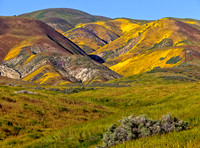 Temblor Range Hills