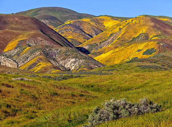 Temblor Range Hills