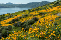 Diamond Valley Lake 1